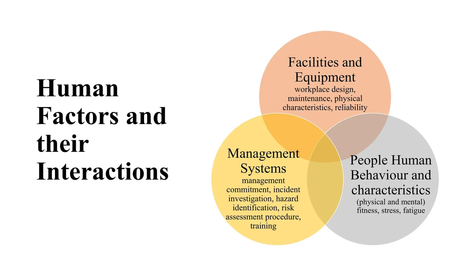 Human Factors in Workplace Safety: Understanding Error, Behaviour, and System Design